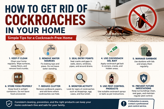 How to Get Rid of Cockroaches in Your Home